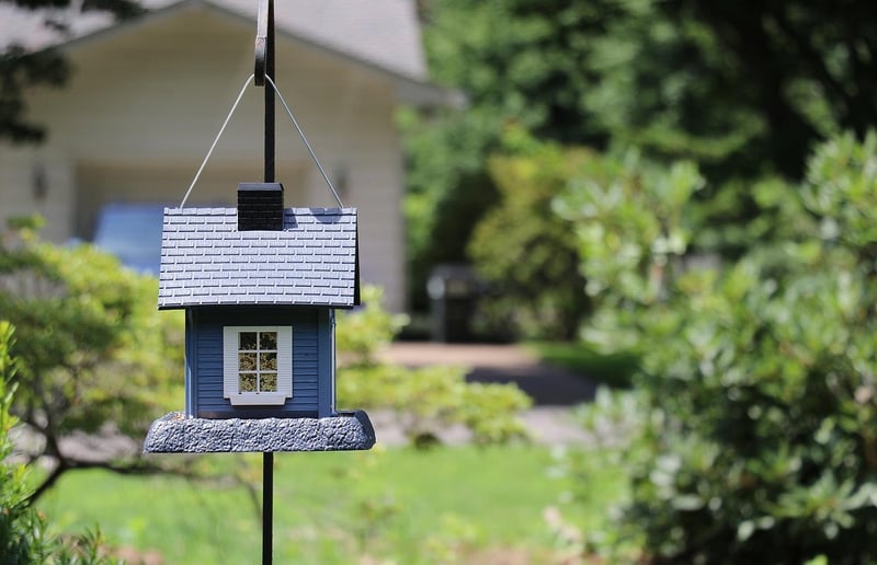 DIY Birdhouses